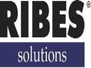 Informati sull'Inserzionista: ribes solutions s.r.l. di torino