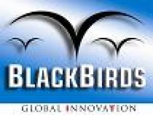 Informati sull'Inserzionista: blackbirds s.r.l. di torino